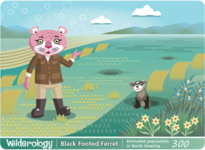 Wildlife issues
